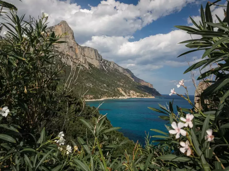 Beeindruckende Aussicht auf Cala Gonone mit blauem Meer und Küstenflora im Vordergrund.