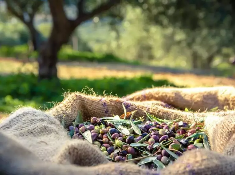 Kreta gemütlich erwandern