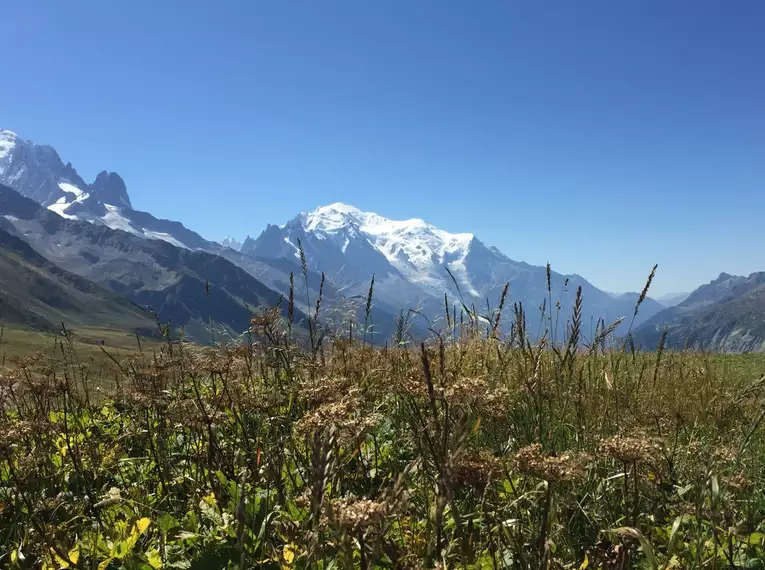 Tour du Mont Blanc