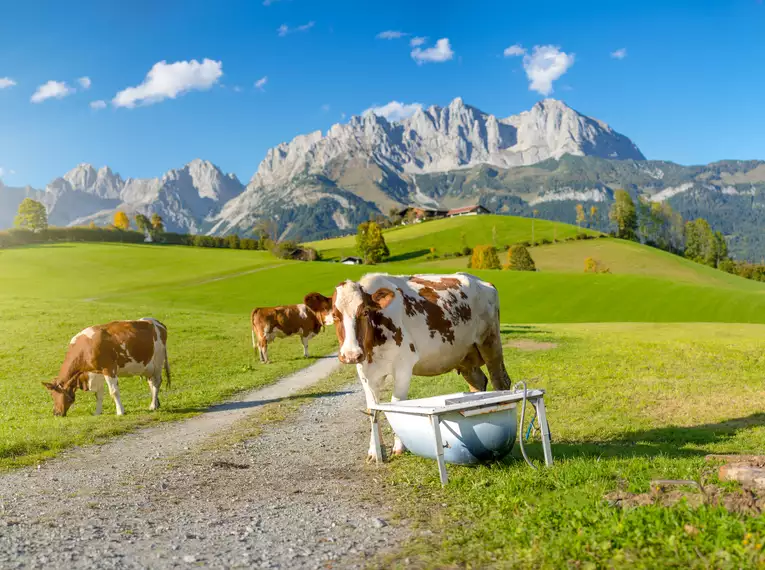 Alpenüberquerung vom Tegernsee nach Kitzbühel