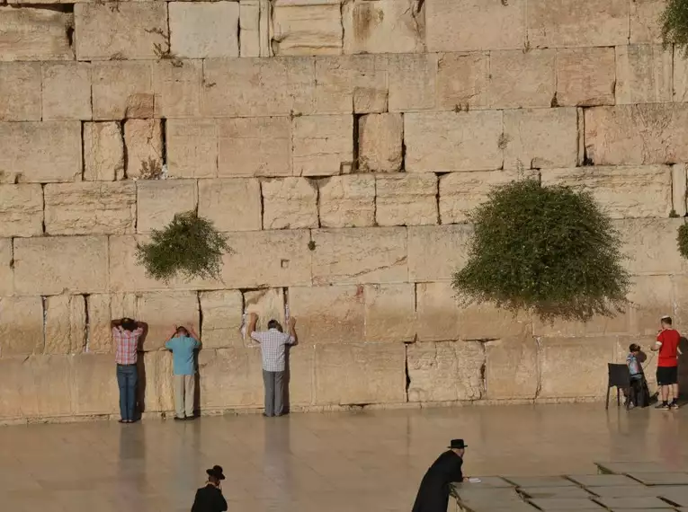 Israel für Einsteiger - Eine Reise durch Geschichte, Natur und Kultur