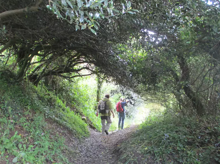 Der Great Glen Way - Schottland wie aus dem Bilderbuch