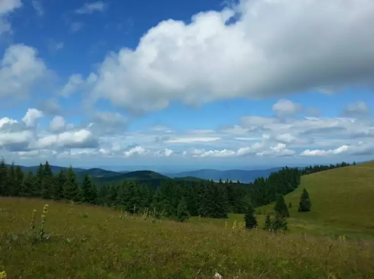 Die schönsten Wanderungen im Schwarzwald