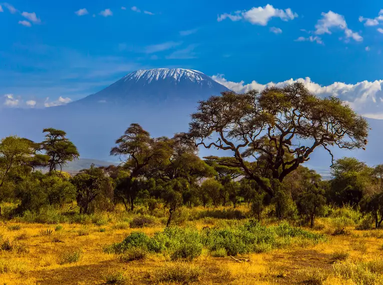 Kilimanjaro individuell - Lemosho Route mit Crater Camp