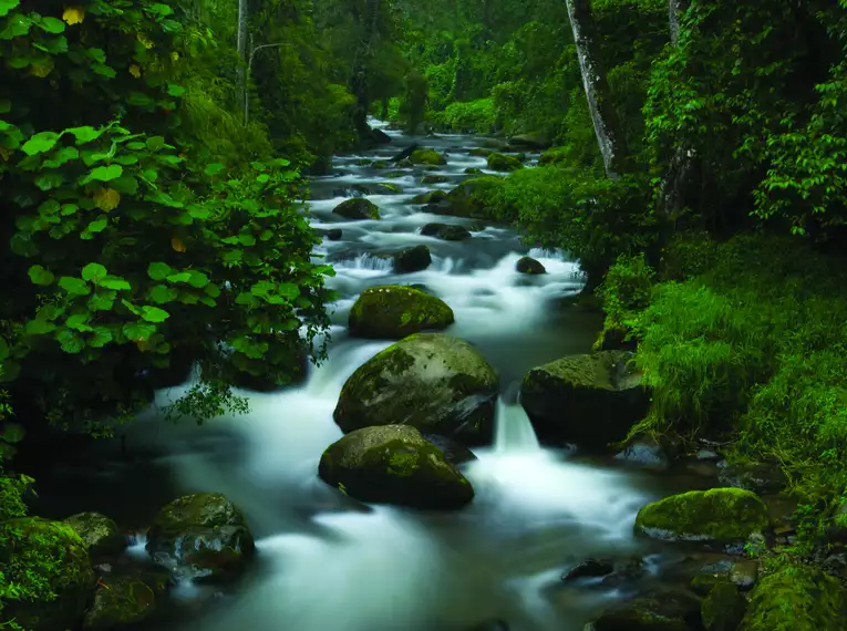 Costa Rica naturnah erwandern