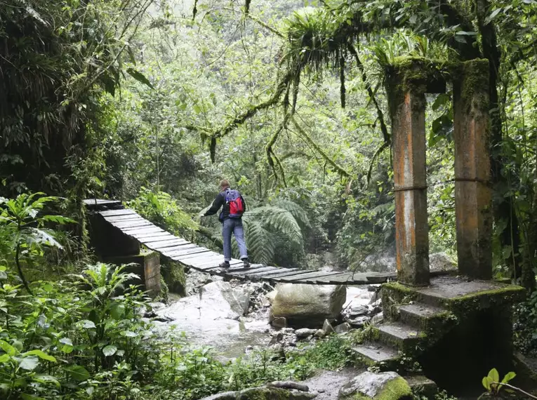 Person überquert eine Holzbrücke in dichtem, grünem Nebelwald in Kolumbien.