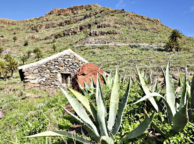 La Gomera: Ein Naturparadies zum Verlieben