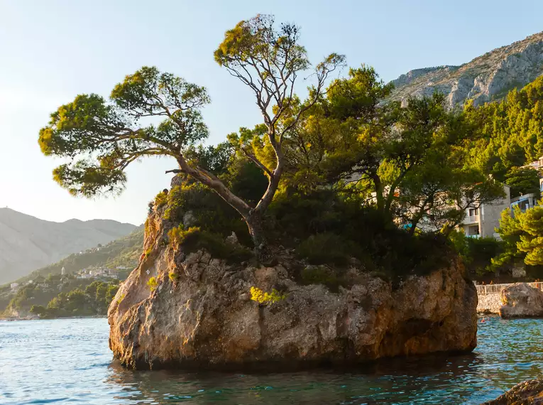 Natürliche Felsformation mit Bäumen in der Nähe der Küste von Makarska, Kroatien.