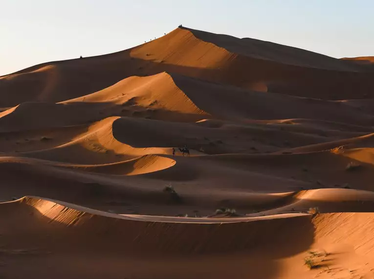 Hügelige Sanddünen der Sahara im warmen Abendlicht, in ruhiger Wüstenlandschaft.