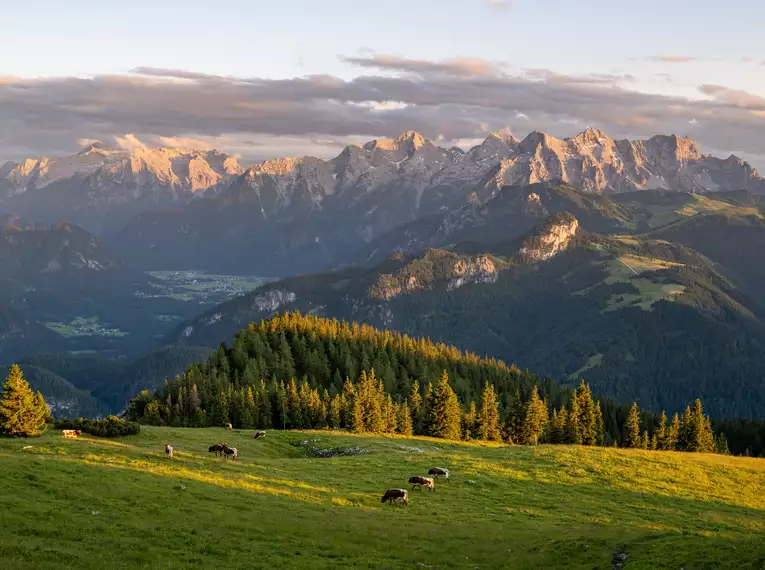 Salzburger Kalkalpen gemütlich erwandern für Singles und Alleinreisende