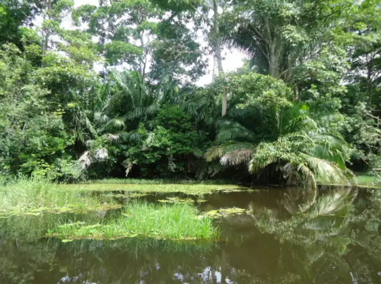 Costa Rica naturnah erwandern