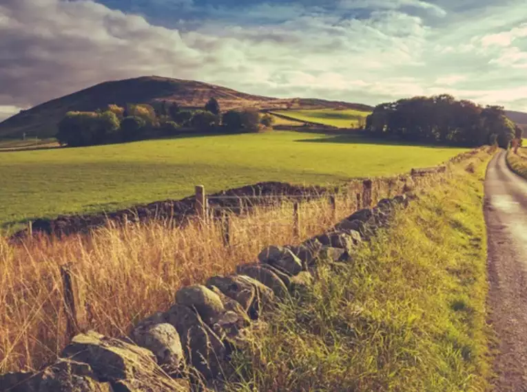 Grüne Hügel und Landstraße entlang des Wicklow Way in Irland