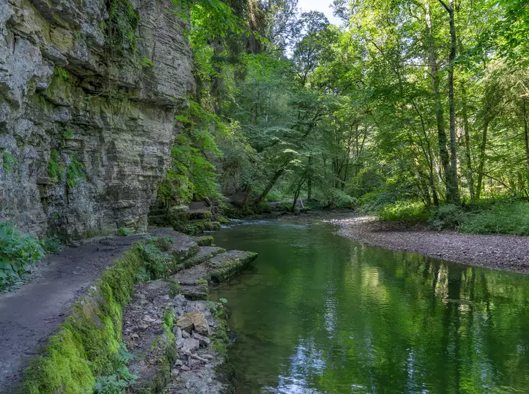 Vom Schwarzwald zum Bodensee - individuelle Trekkingwoche