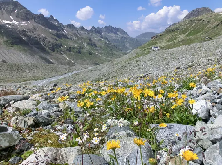 Von Oberstdorf in die blaue Silvretta