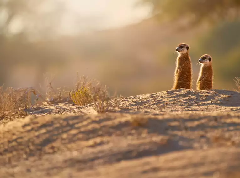 Namibia komfortabel erwandern