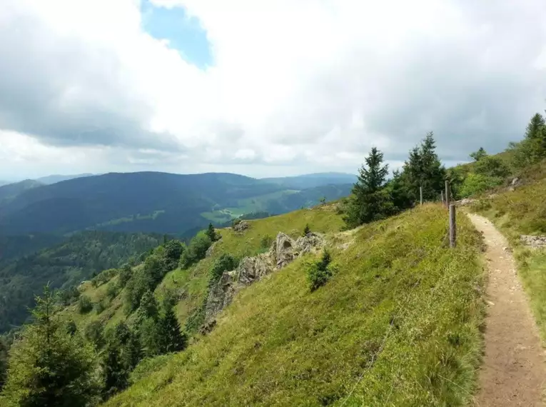 Die schönsten Wanderungen im Schwarzwald