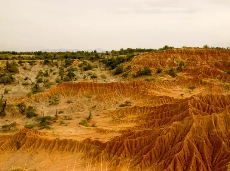 Sandformationen und Vegetation der Tatacoa-Wüste in Kolumbien.