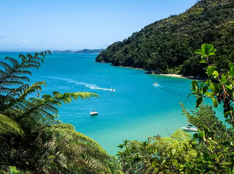 Wanderwoche Neuseeland - Zwischen Vulkanen und Regenwäldern