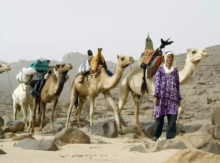 Tuareg mit beladenen Kamelen beim Trekking durch die Sahara.