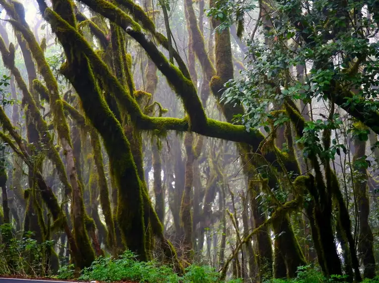 La Gomera: Ein Naturparadies zum Verlieben