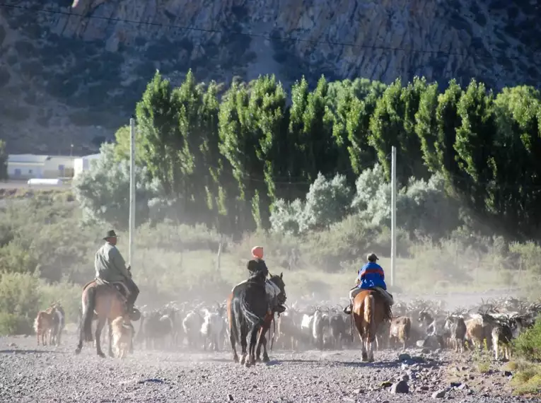 Patagonien erkunden: Faszinierende Abenteuer in Chile und Argentinien