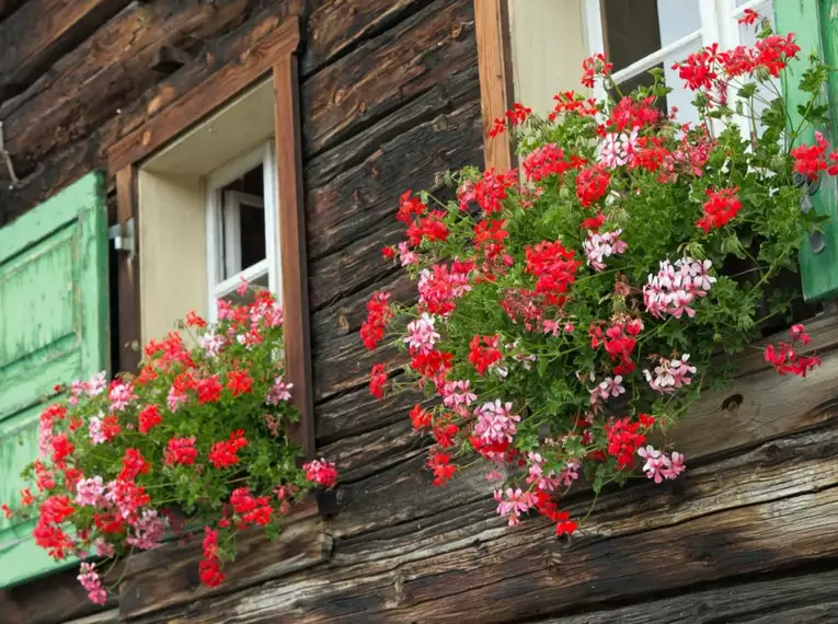 Durchquerung der Dolomiten mit Hotelkomfort