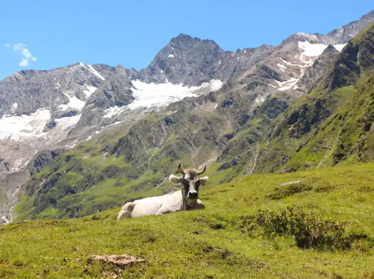 Meraner Höhenweg - mit Besteigung der Mutspitze (2.292 m)