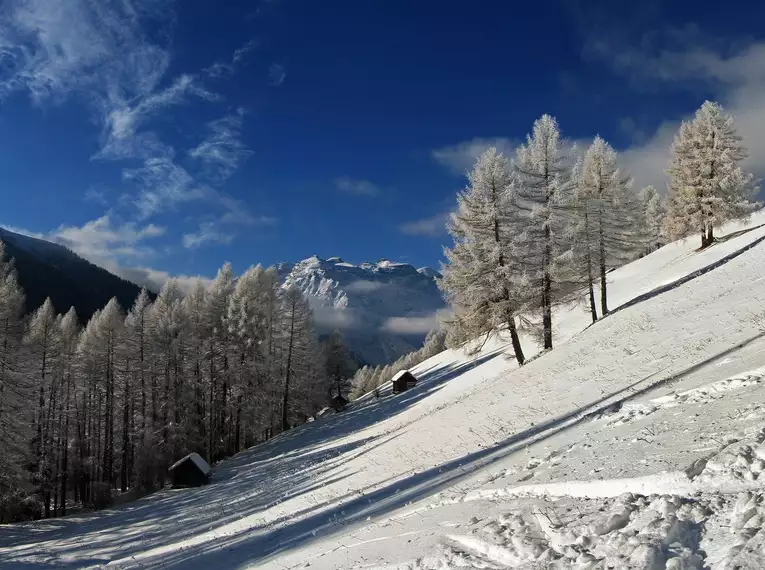 Schneeschuhtouren im stillen Obernbergtal