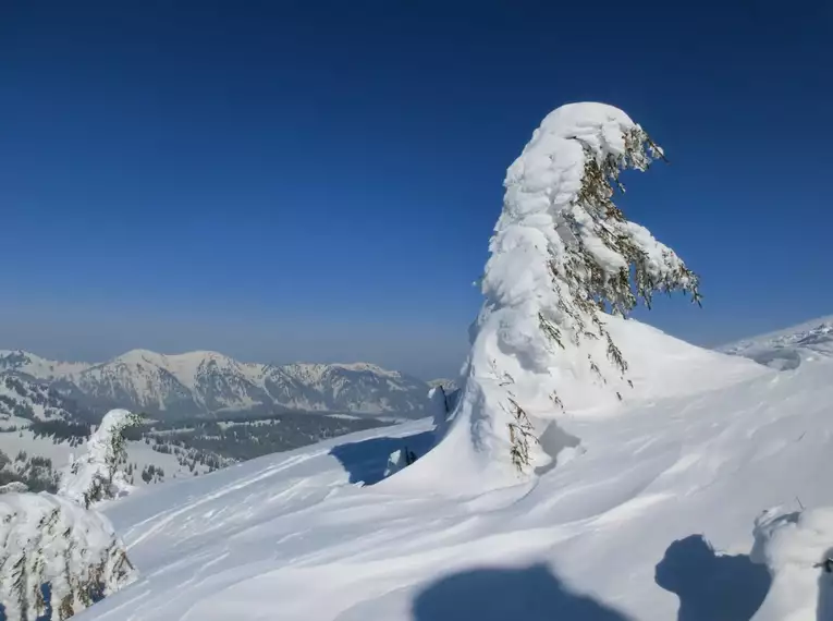 Skitourentage Oberstdorf & Kleinwalsertal