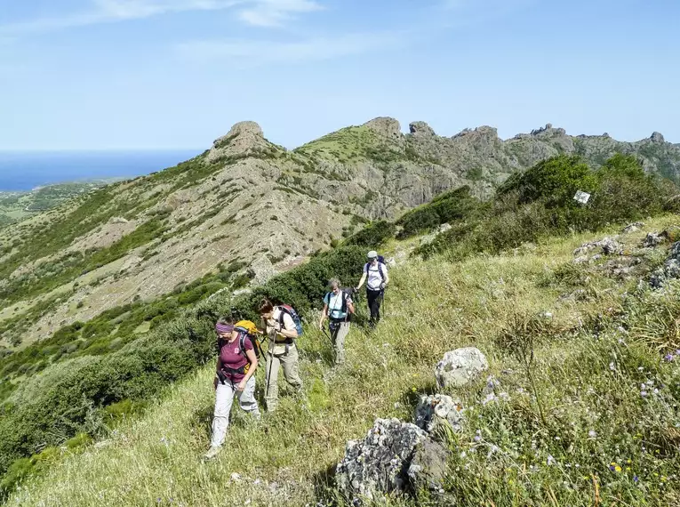 Sardiniens Zauber: Auf den Spuren der Hirtenpfade