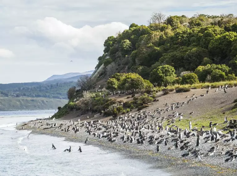 Patagonien erkunden: Faszinierende Abenteuer in Chile und Argentinien