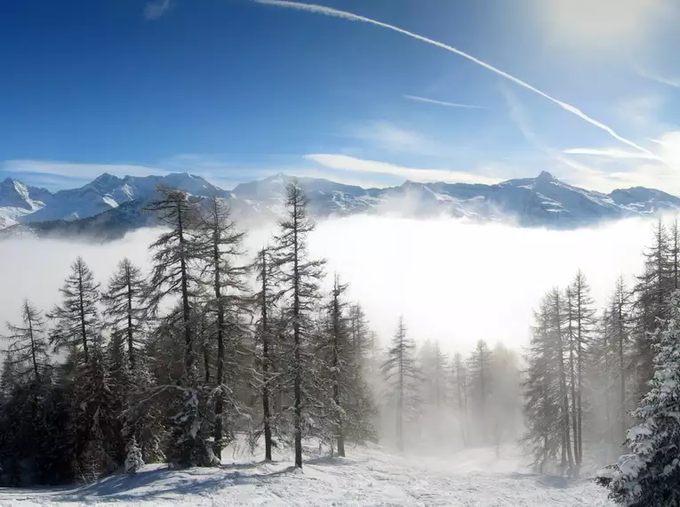 Schneeschuhtouren im stillen Obernbergtal