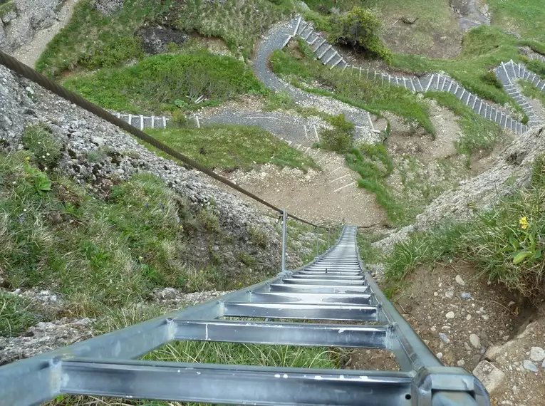 Steile Leiter auf einem Wanderweg im Naturpark Nagelfluhkette.