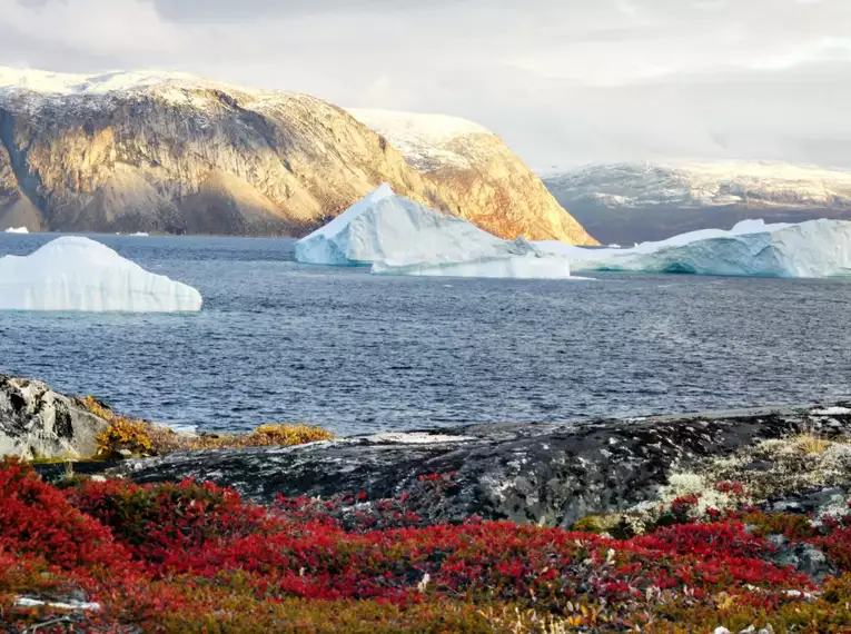 Grönland: Eisberge, Naturwunder und Inuit-Kultur