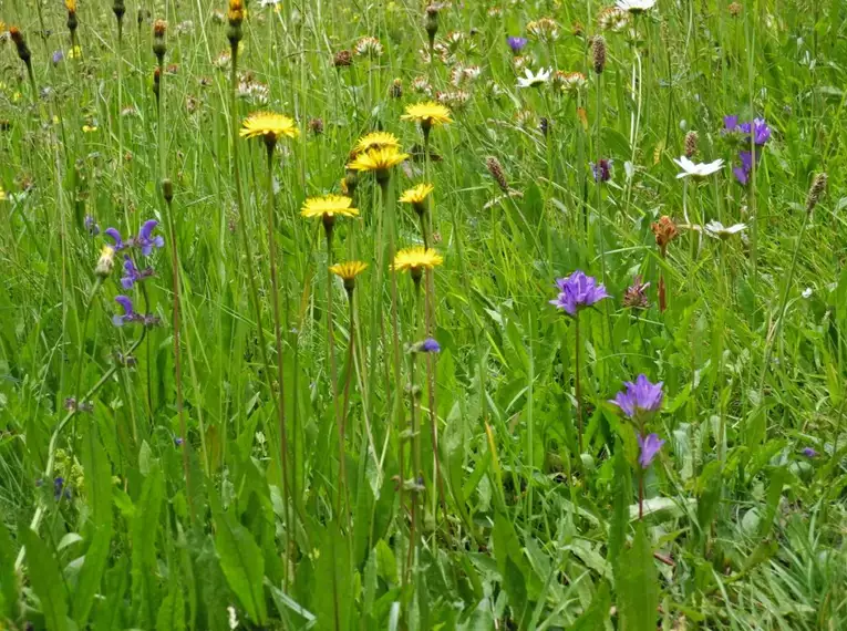 Wanderwoche Stilfser Joch