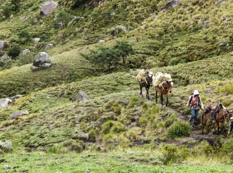 Kolumbien - Besteigung des Pico Cristóbal Colón