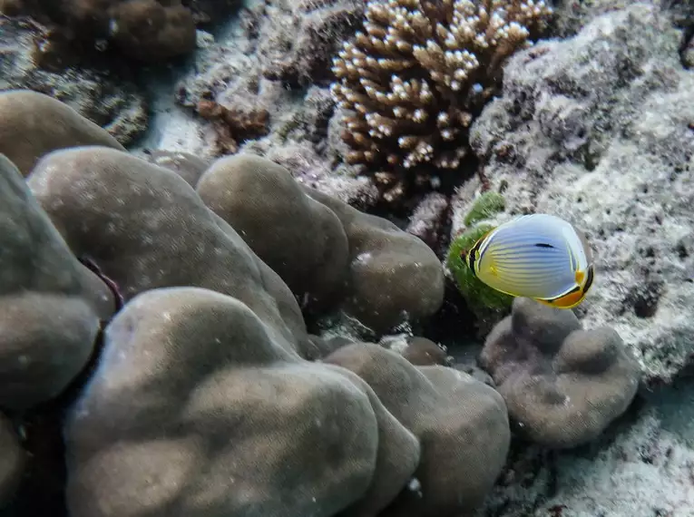 Seychellen - Inselabenteuer zwischen Traumstränden und Granitfelsen