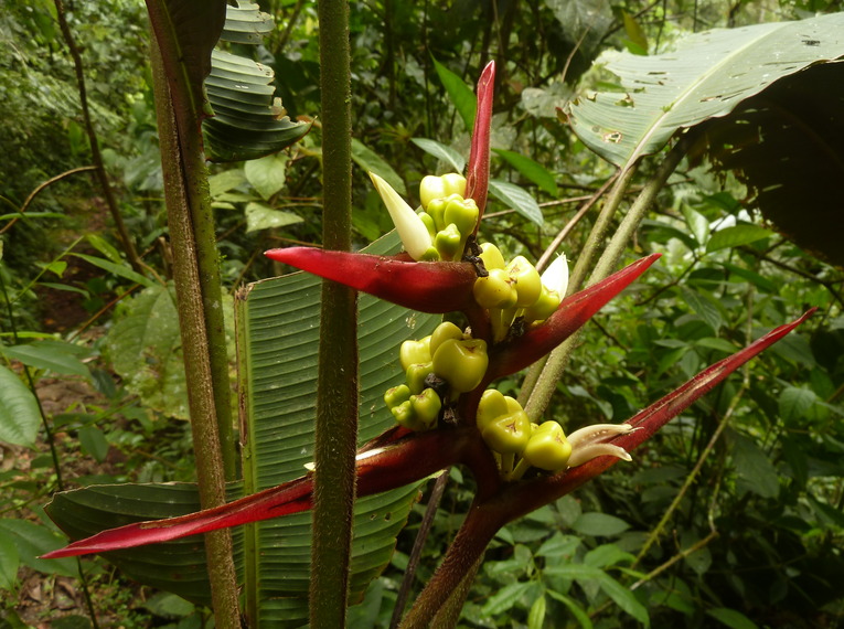 Ecuador auf verborgenen Wegen entdecken