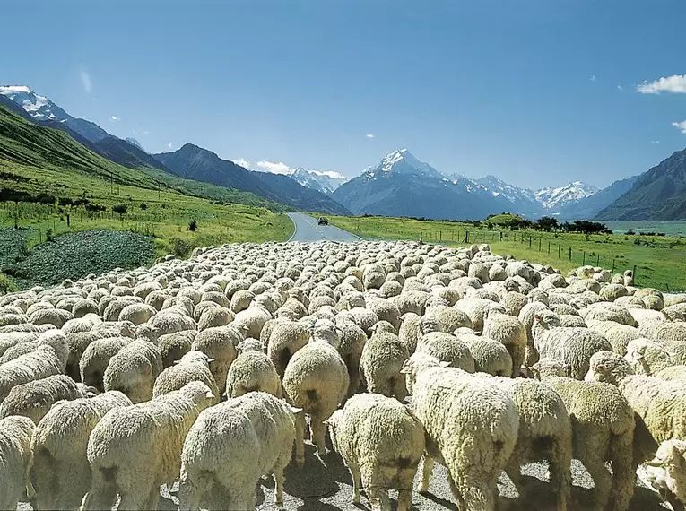 Wanderwoche Neuseeland - Zwischen Vulkanen und Regenwäldern