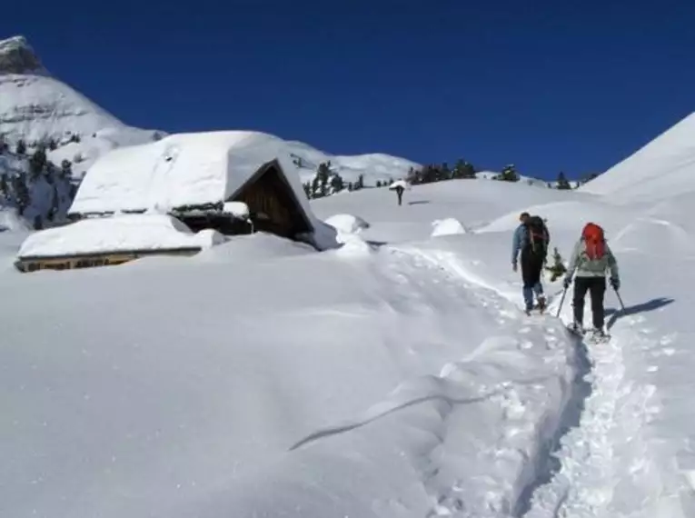 Mit Schneeschuhen zum Gipfelkreuz