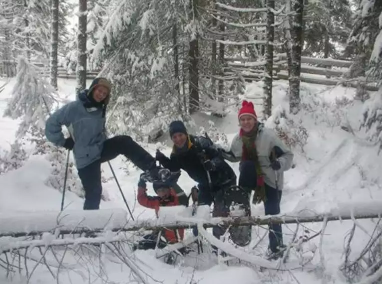 Winterzauber im Banne der drei Zinnen