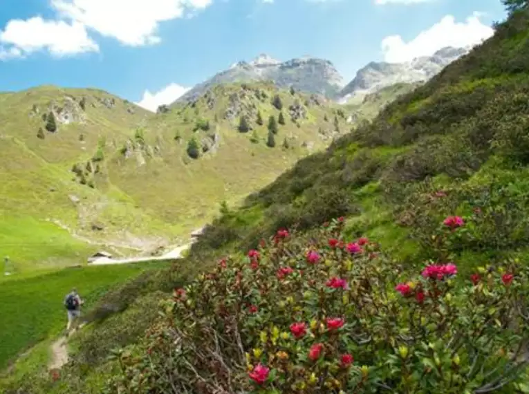 Tageswanderungen in Tirol