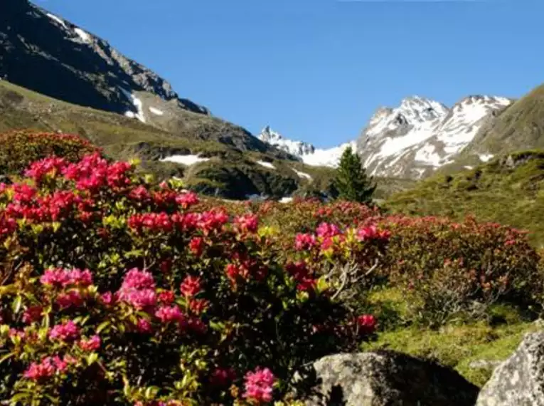 Hüttenwanderung in den Tuxer Alpen