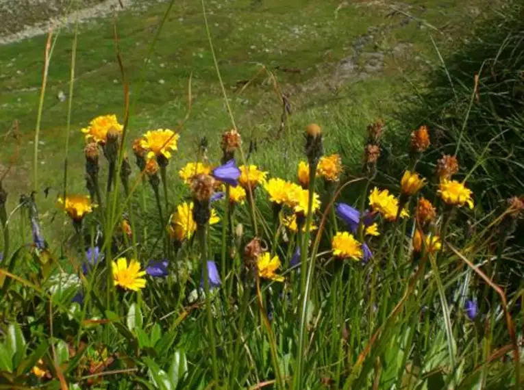 Hüttenwanderung in den Tuxer Alpen