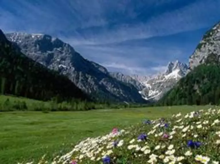 Natur intensiv im Alpenpark Karwendel