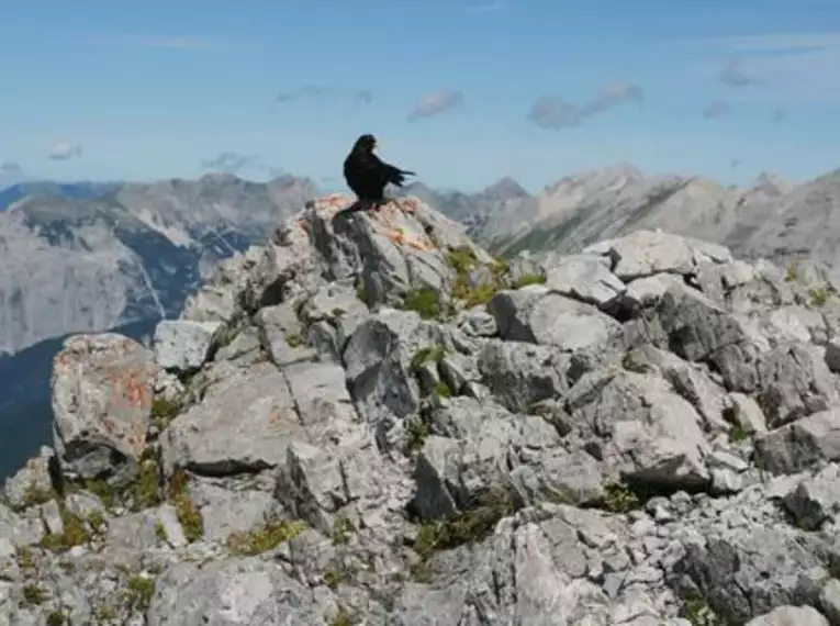 Natur intensiv im Alpenpark Karwendel – extralang