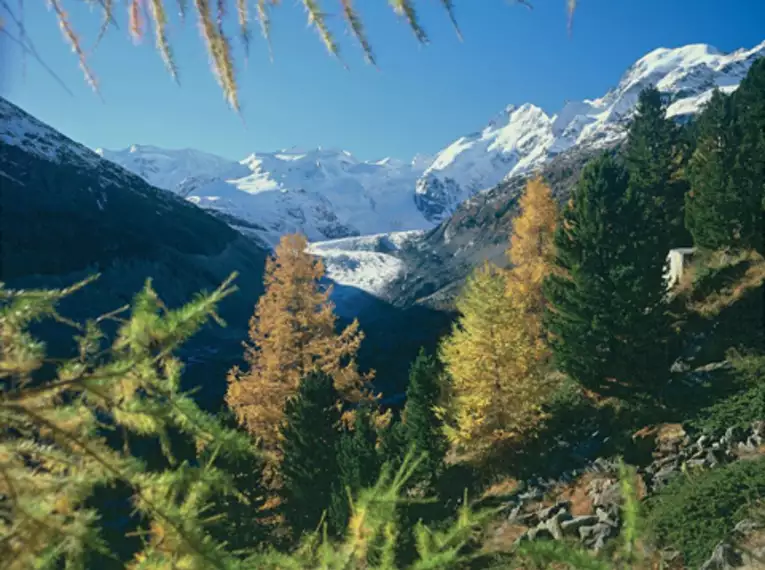 Piz Bernina und Biancograt