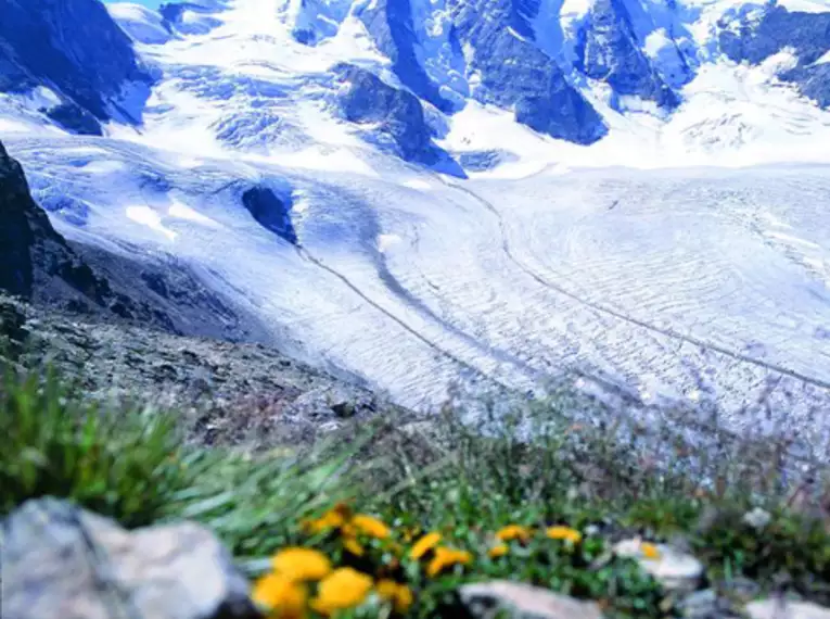 Piz Bernina und Biancograt