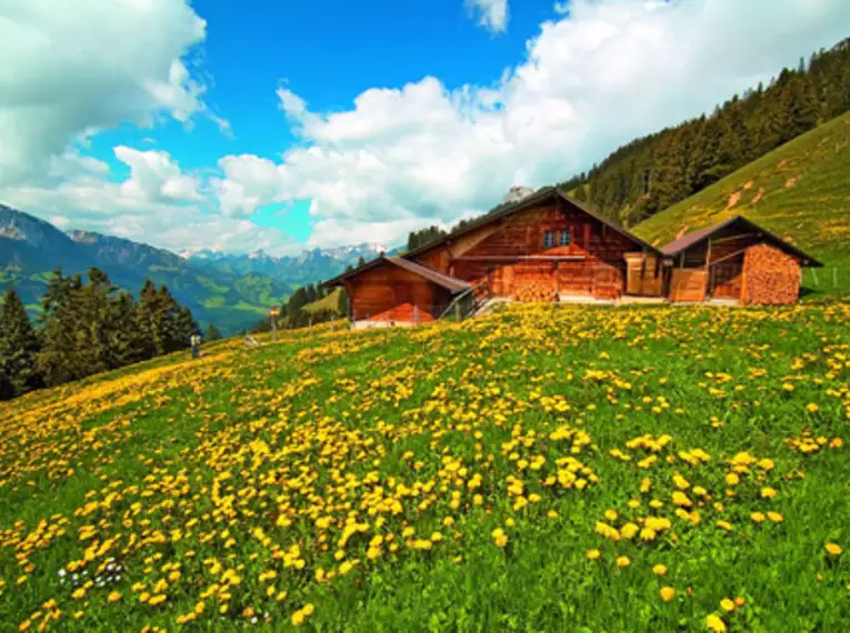 Almwanderwochenende in Tirol