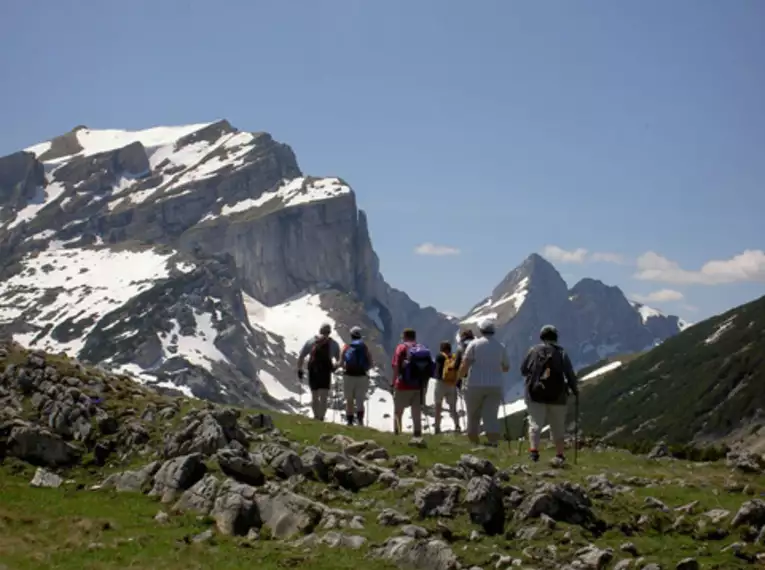 Natur intensiv im Alpenpark Karwendel